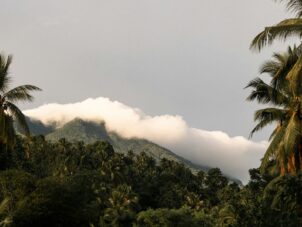 green trees near mountain under white clouds during daytime