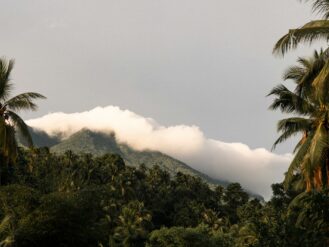 green trees near mountain under white clouds during daytime