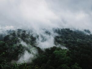 a mountain covered in clouds and trees on a cloudy day