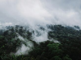 a mountain covered in clouds and trees on a cloudy day