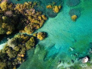 aerial view of green trees and blue sea during daytime