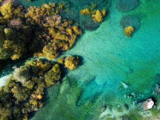 aerial view of green trees and blue sea during daytime